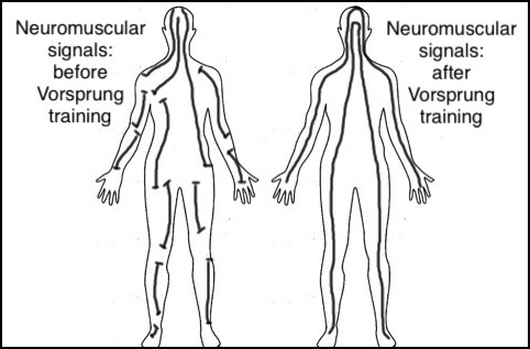 &#39;Neuro-Dynamic Man&#39; (Image)